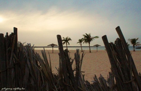 127_resize