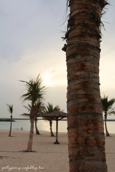 132_resize