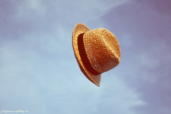3_resize