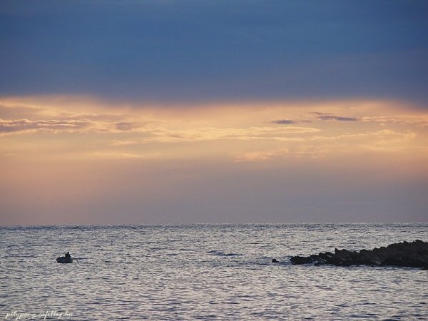 DSC08864_resize