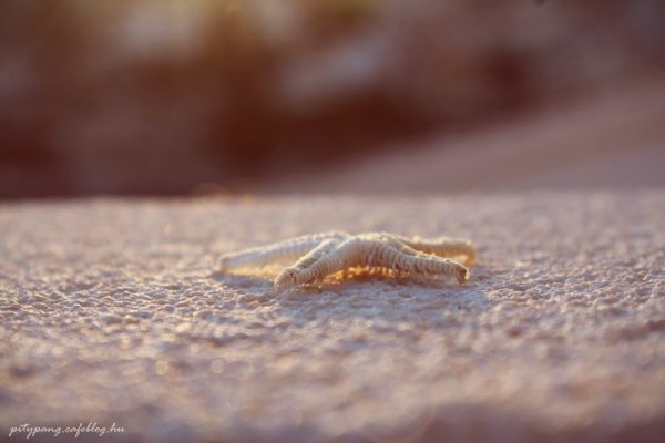IMG_4970_resize