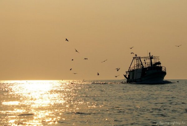 IMG_6288_resize
