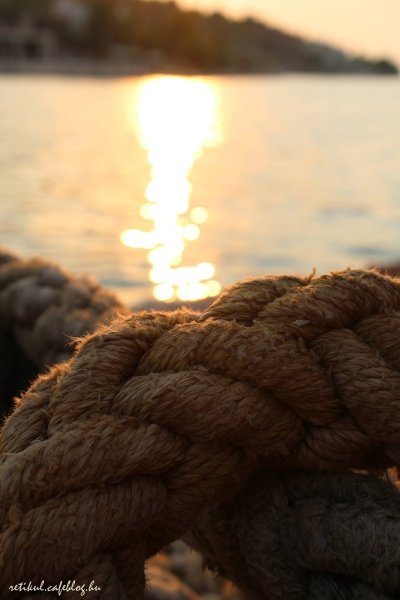 IMG_6325_resize