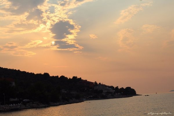 IMG_6335_resize