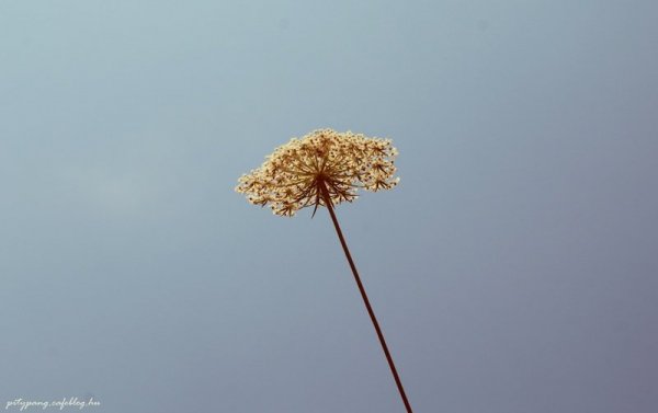 IMG_6780_resize