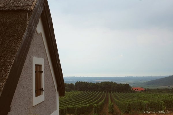 IMG_0882_resize