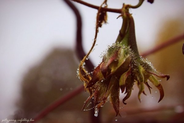 5_resize