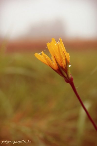IMG_4196_resize