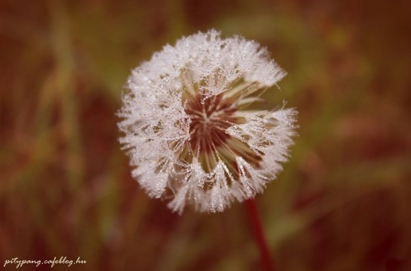 IMG_4229_resize