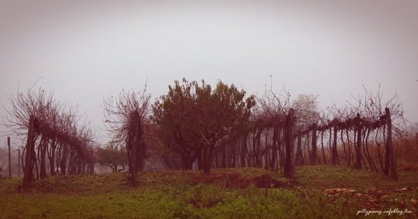 IMG_4234_resize