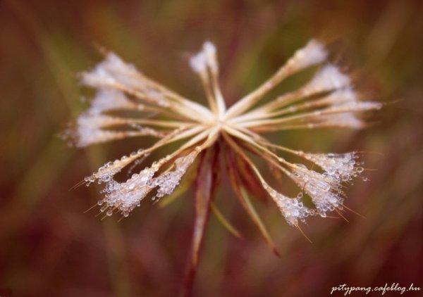 IMG_4282_resize