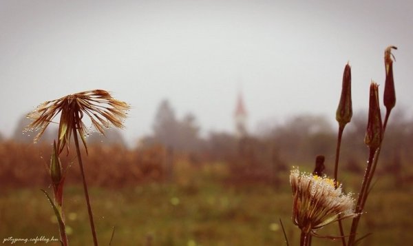 IMG_4304_resize_resize