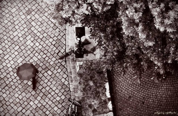 1012952_920900944639989_1417567714408269329_n