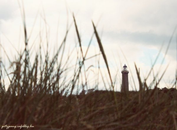 01_resize